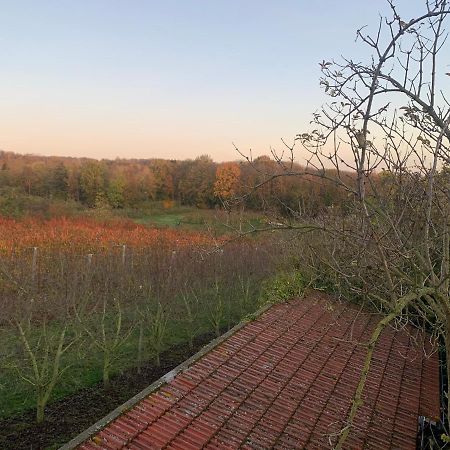 Willa Mon Repos Saint-Brice-sous-Forêt Zewnętrze zdjęcie