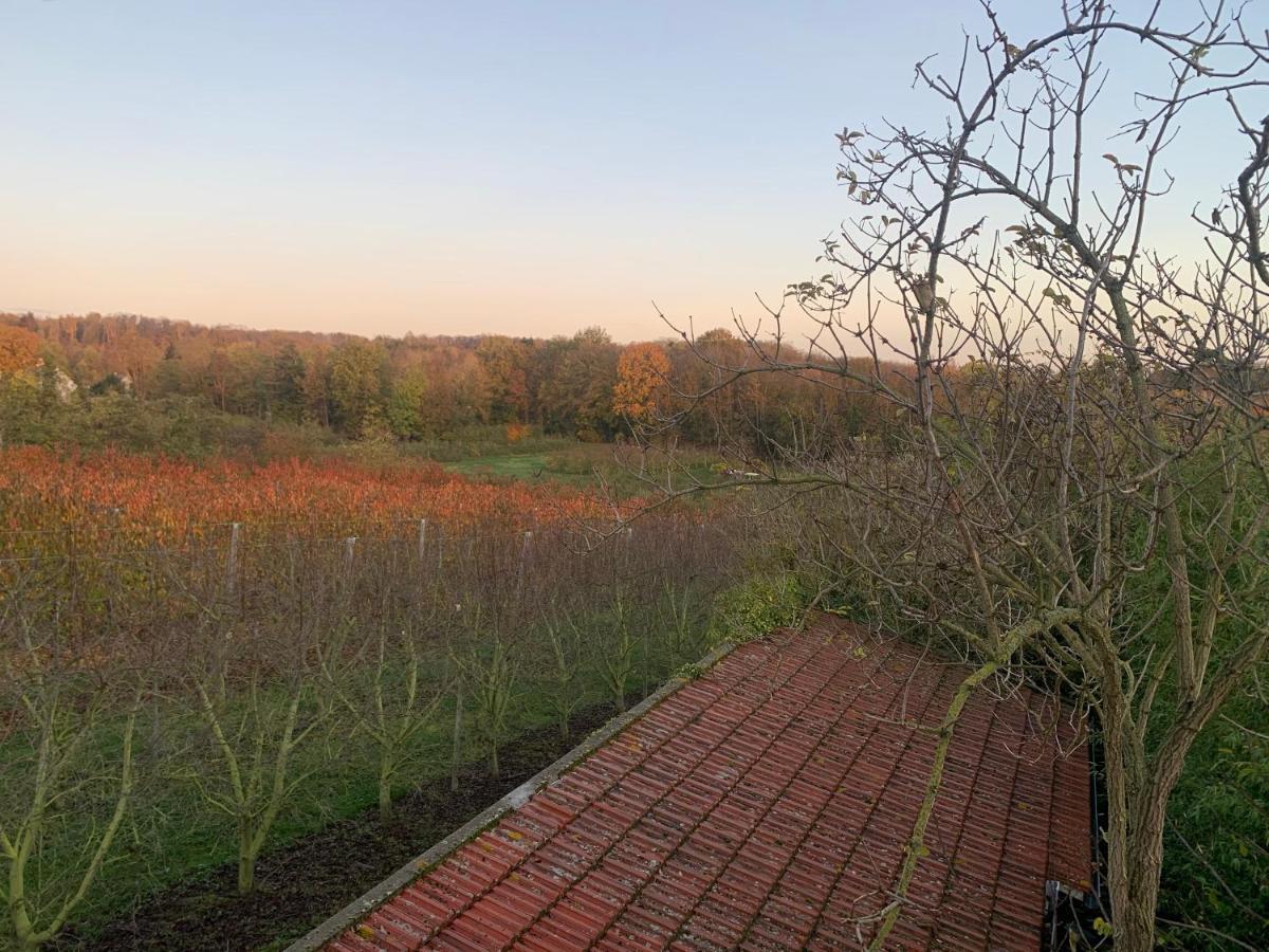 Willa Mon Repos Saint-Brice-sous-Forêt Zewnętrze zdjęcie